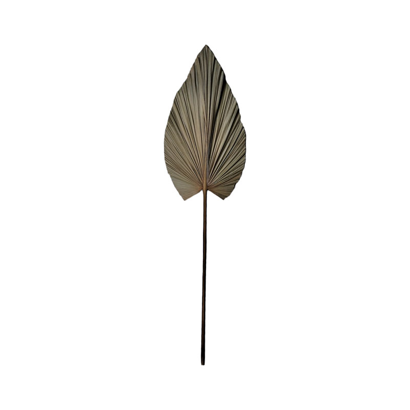 Διακοσμητικό φύλλο Leafen I Inart φυσικό palm leaf 130εκ 1