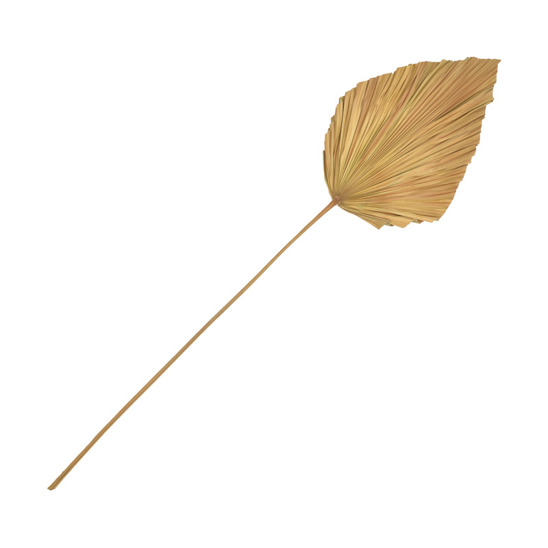 Διακοσμητικό φύλλο Walsy Inart palm leaf σε φυσική απόχρωση Υ135 εκ 1