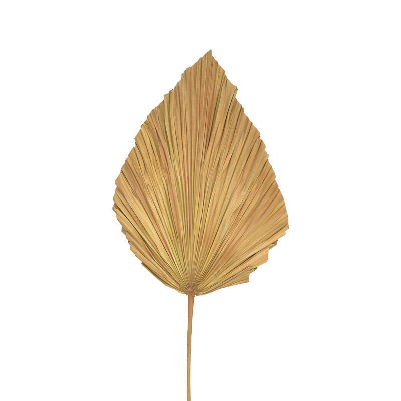Διακοσμητικό φύλλο Walsy Inart palm leaf σε φυσική απόχρωση Υ135 εκ 2