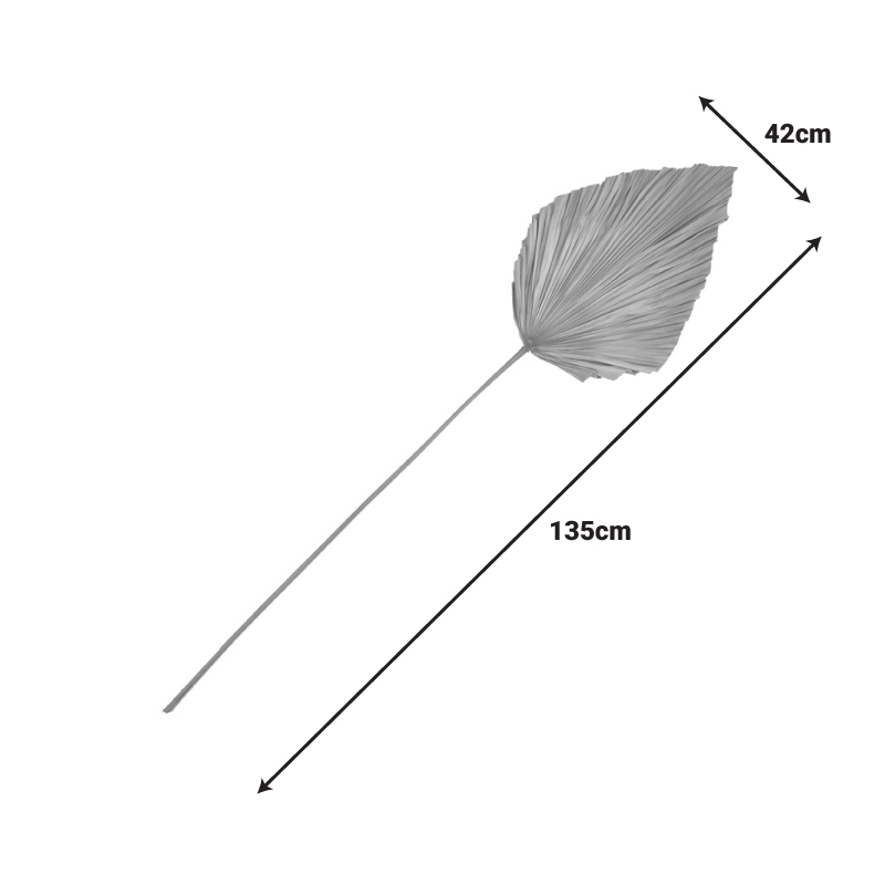 Διακοσμητικό φύλλο Walsy Inart palm leaf σε φυσική απόχρωση Υ135 εκ 3