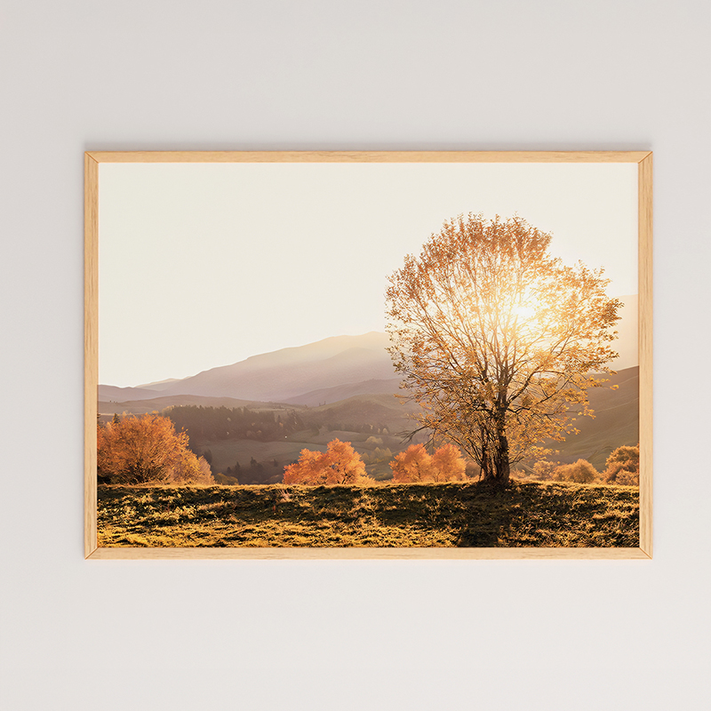 Πίνακας Vila pakoworld με ψηφιακή εκτύπωση και πλαίσιο 48x1.5x33εκ 1