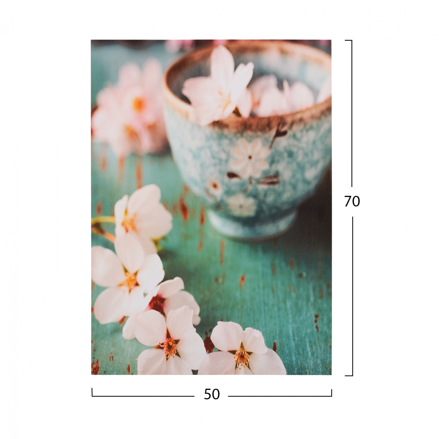 ΠΙΝΑΚΑΣ ΚΑΜΒΑΣ FLOWER CUP 50X70X2.5 εκ. 2