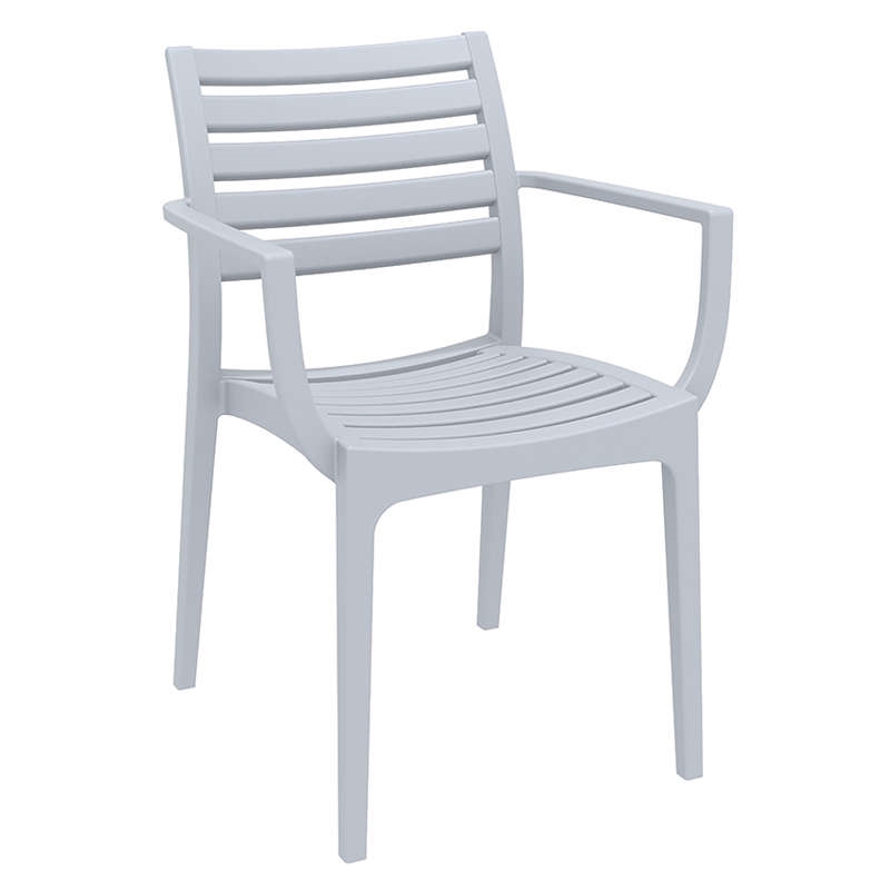 ARTEMIS SILVER GREY ΠΟΛΥΘΡΟΝΑ ΠΟΛ/ΝΙΟΥ 1