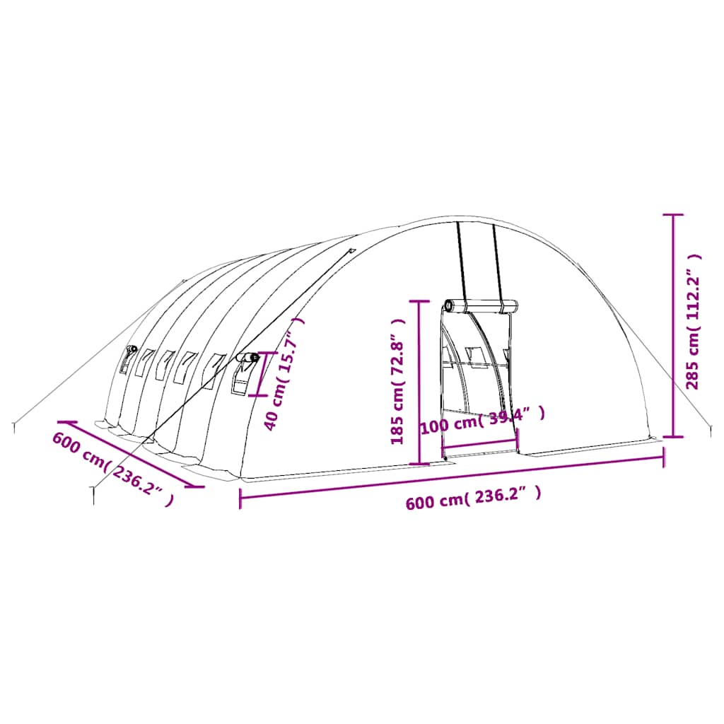 Θερμοκήπιο με Ατσάλινο Πλαίσιο Λευκό 36 μ² 6 x 6 x 2,85 μ. 12