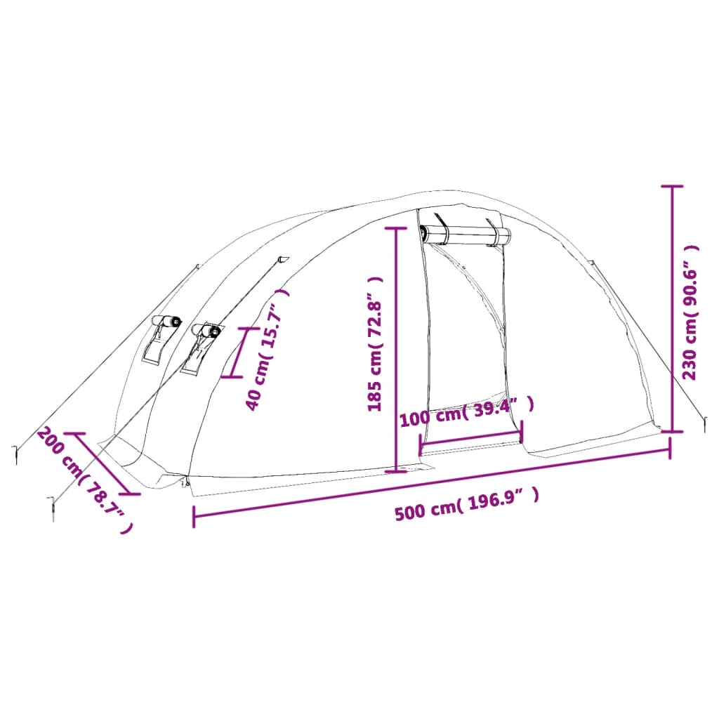 Θερμοκήπιο με Ατσάλινο Πλαίσιο Λευκό 10 μ² 5 x 2 x 2,3 μ. 12