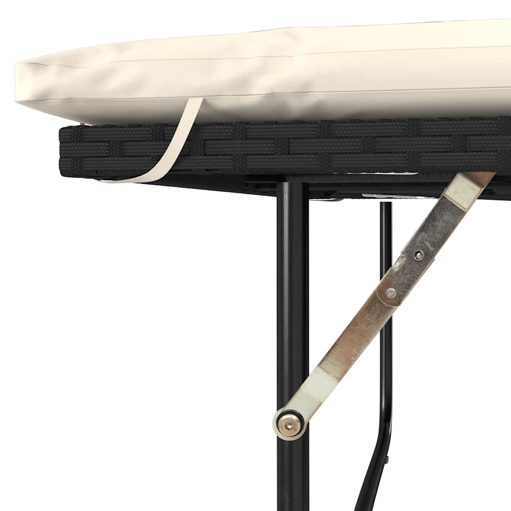 Καναπές Κήπου Διθέσιος Μαύρο Συνθετικό Ρατάν/Ακακία + Μαξιλάρια 10