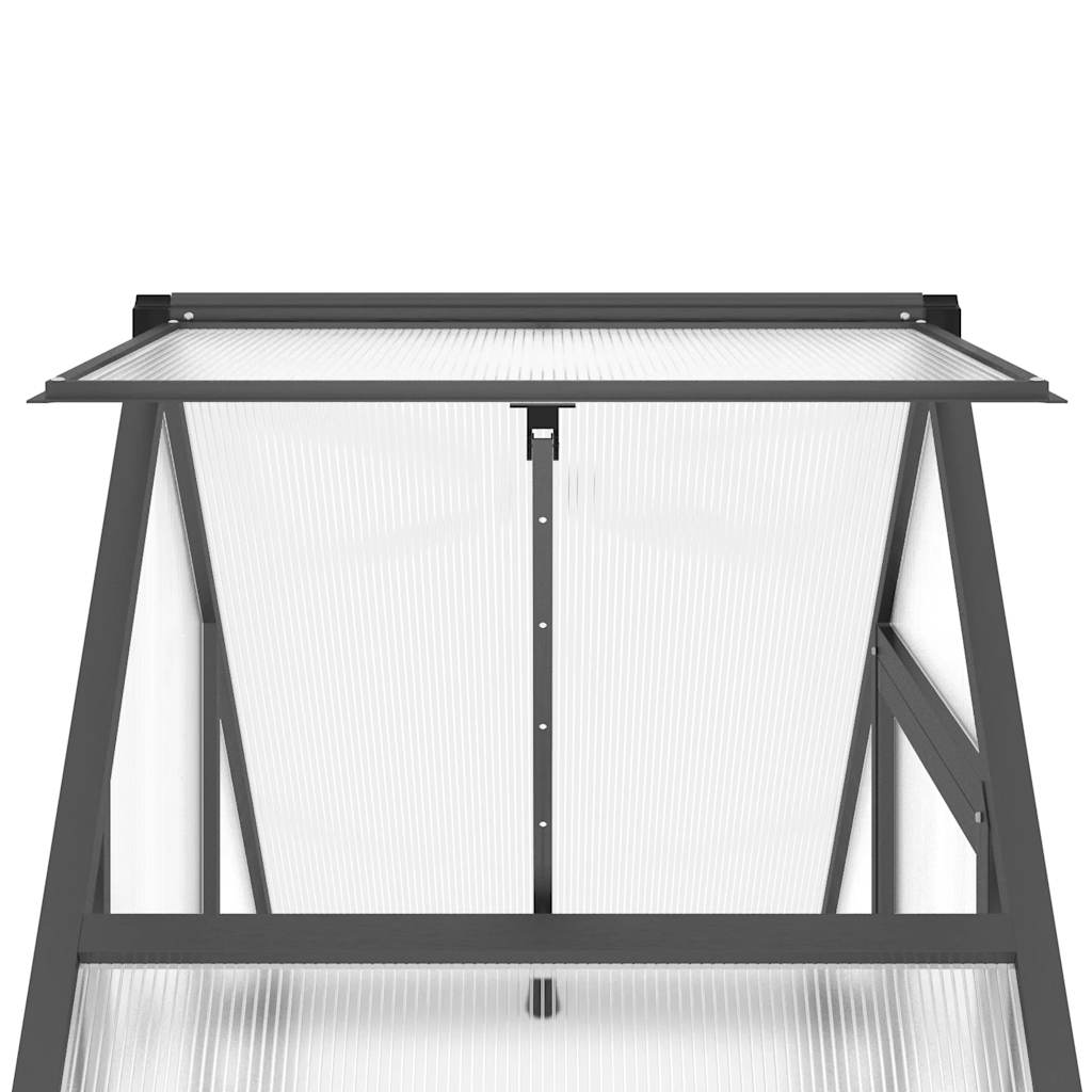 Θερμοκήπιο με Πλαίσιο Βάσης Ανθρακί 169x58x195 εκ. Αλουμίνιο 9