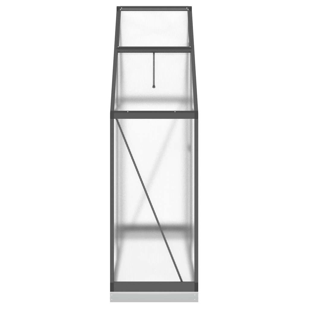 Θερμοκήπιο με Πλαίσιο Βάσης Ανθρακί 169x58x202 εκ. Αλουμίνιο 4